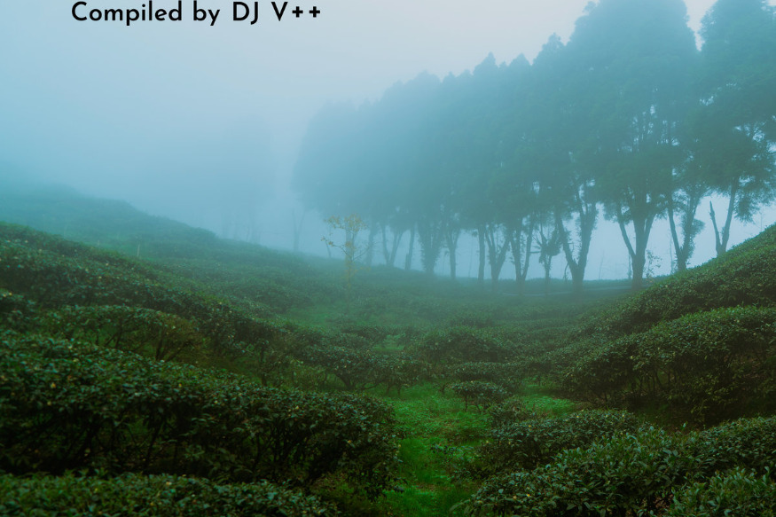 VA - Tea Leaves Compiled by DJ V++