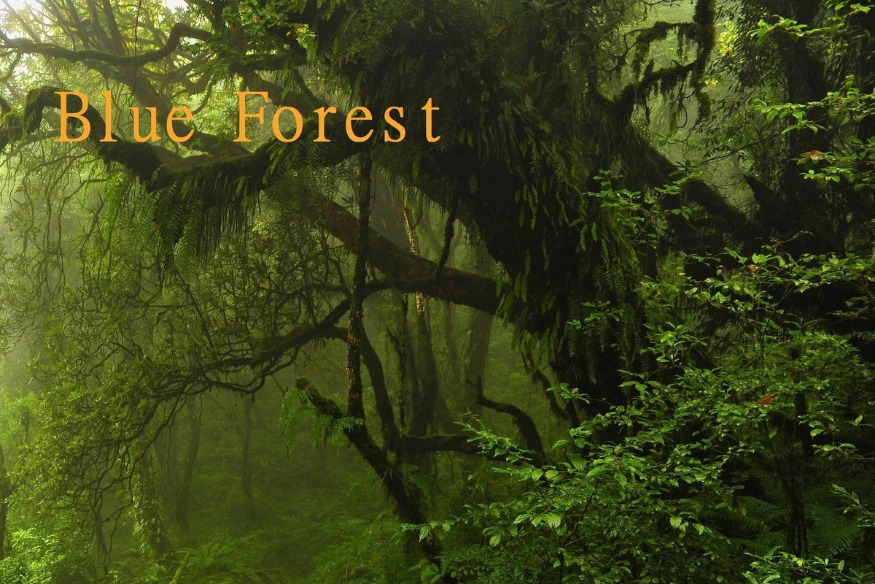 Blue Forest - Long Journey